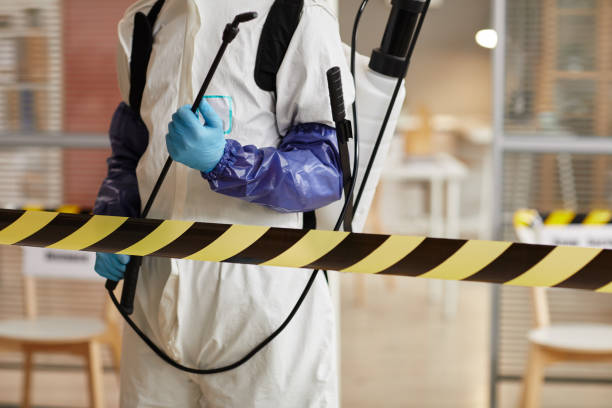 Professional Sewage Cleanup technician working in Sheldon, TX